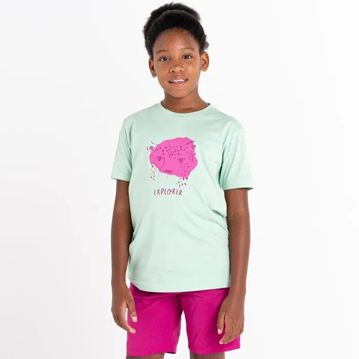 Dare 2b Trailblazer Graphic TShirt Grayed Jade Kids