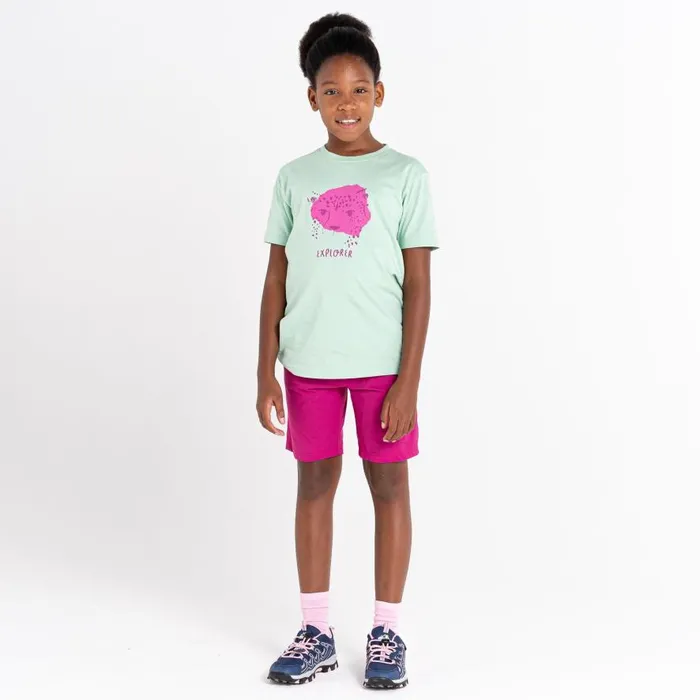 Dare 2b Trailblazer Graphic TShirt Grayed Jade Kids