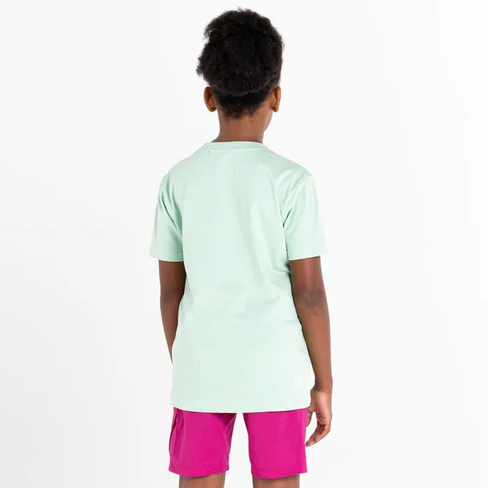 Dare 2b Trailblazer Graphic TShirt Grayed Jade Kids
