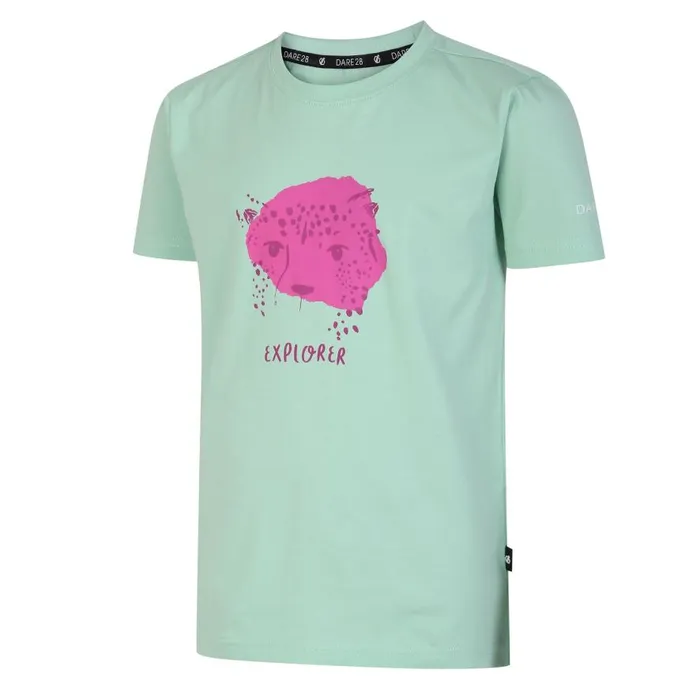 Dare 2b Trailblazer Graphic TShirt Grayed Jade Kids