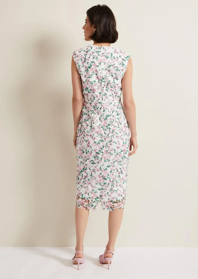 Diana Floral Lace Midi Dress Multicoloured Women Phase Eight Dresses
