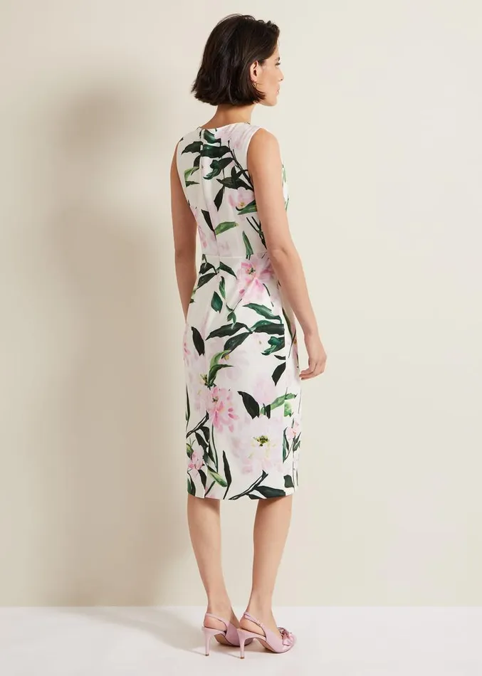 Elsa Floral Scuba Midi Dress Multicoloured Women Phase Eight Dresses