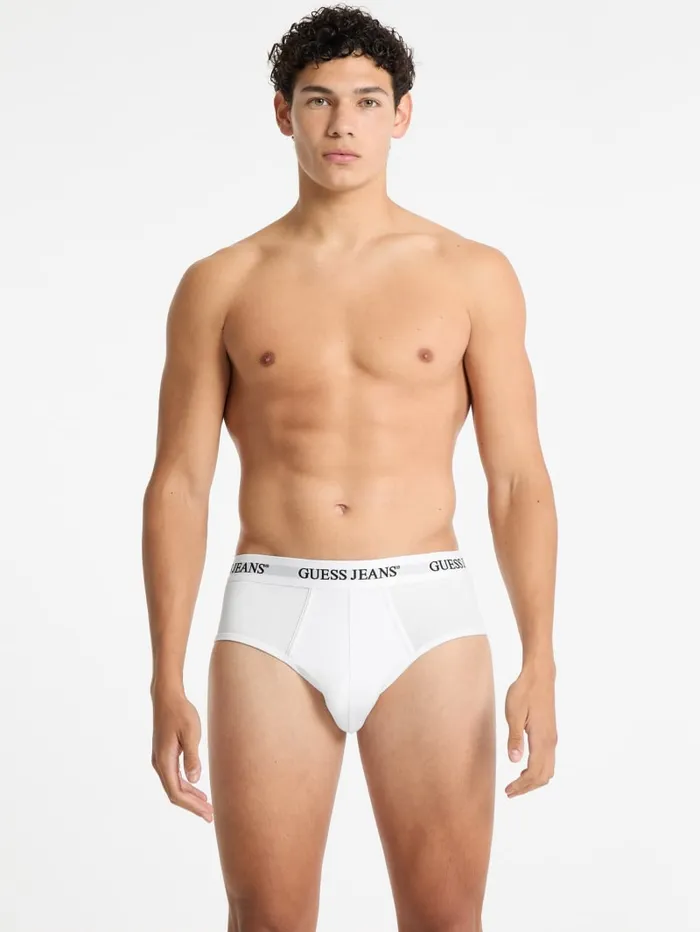 GUESS Men Eco Jeans 3Pack Boxer Briefs Gray 8211 Men