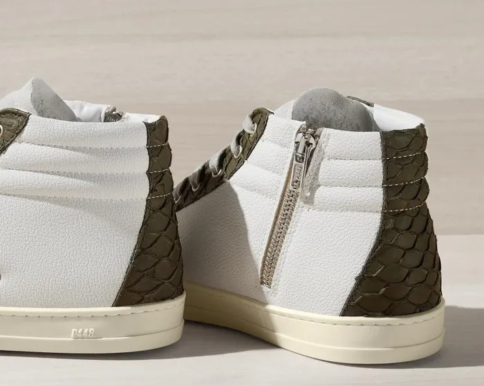 High Tops Men P448 Skate CarpCactus