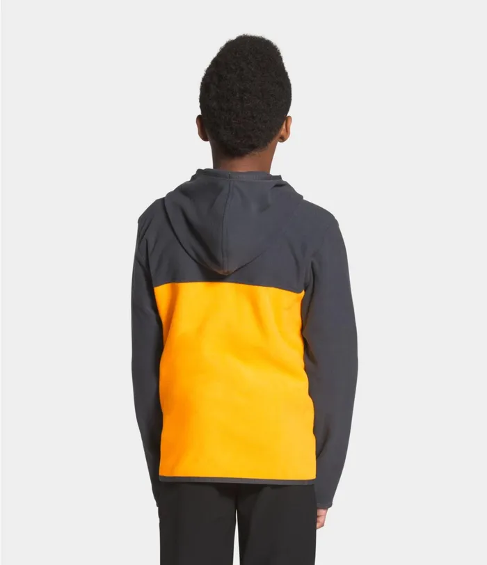 Kids The North Face Jackets and Vests Glacier Full Zip Hoodie Summit Gold
