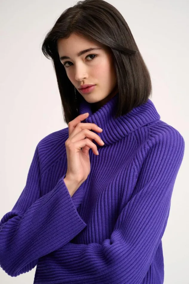 Luisa Spagnoli Knitwear Magnus 8211 RibKnit Turtleneck Pullover Purple 8211 Women