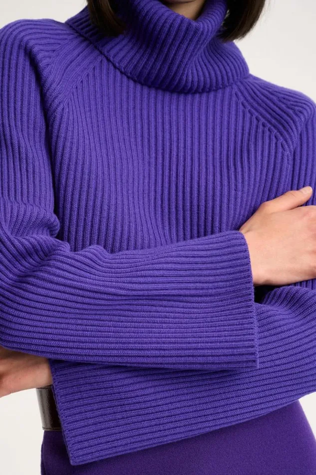 Luisa Spagnoli Knitwear Magnus 8211 RibKnit Turtleneck Pullover Purple 8211 Women Luisa Spagnoli Knitwear Magnus 8211 RibKnit Turtleneck Pullover Purple 8211 Women