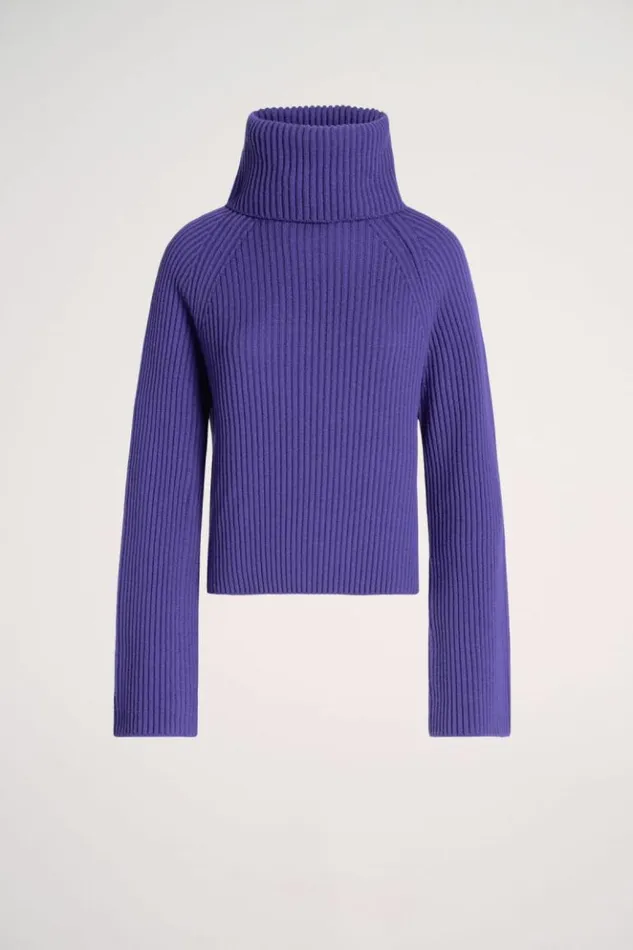 Luisa Spagnoli Knitwear Magnus 8211 RibKnit Turtleneck Pullover Purple 8211 Women Luisa Spagnoli Knitwear Magnus 8211 RibKnit Turtleneck Pullover Purple 8211 Women