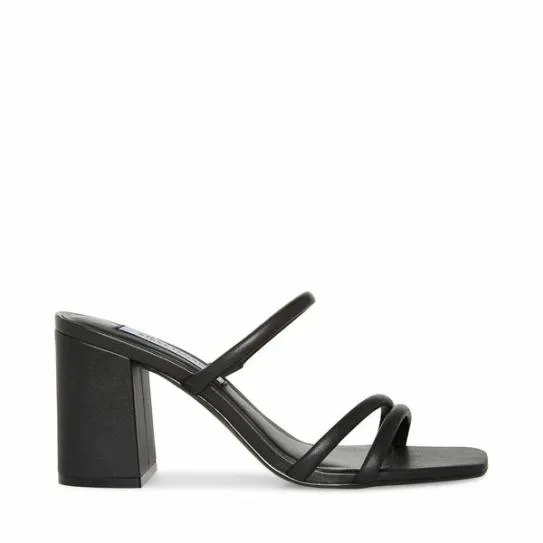 Women AVANI BLACK Black Steve Madden Heels