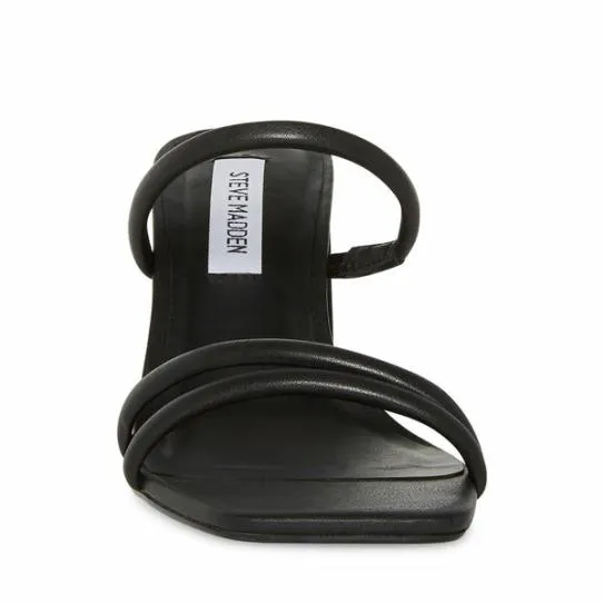 Women AVANI BLACK Black Steve Madden Heels