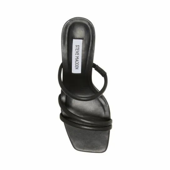 Women AVANI BLACK Black Steve Madden Heels