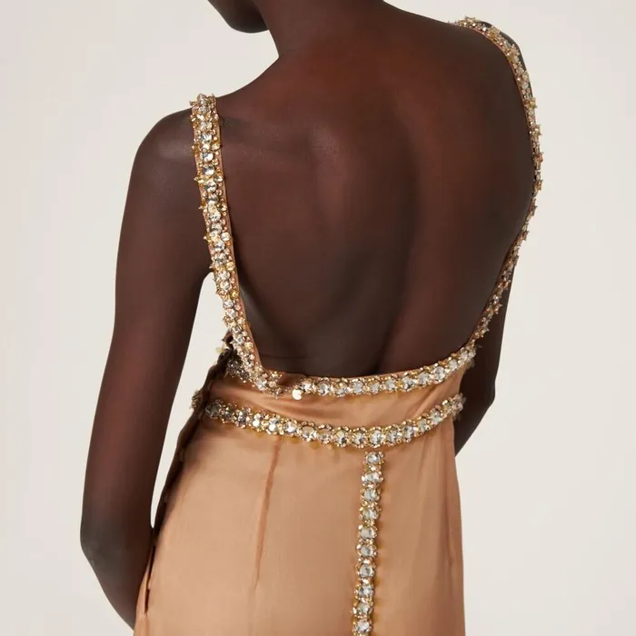 Women Dresses Miu Miu Embroidered Organza Dress Cameo