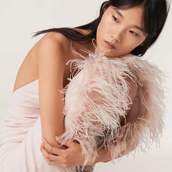 Women Dresses Miu Miu Stretch Cady Dress With Feathers Peach Women Dresses Miu Miu Stretch Cady Dress With Feathers Peach