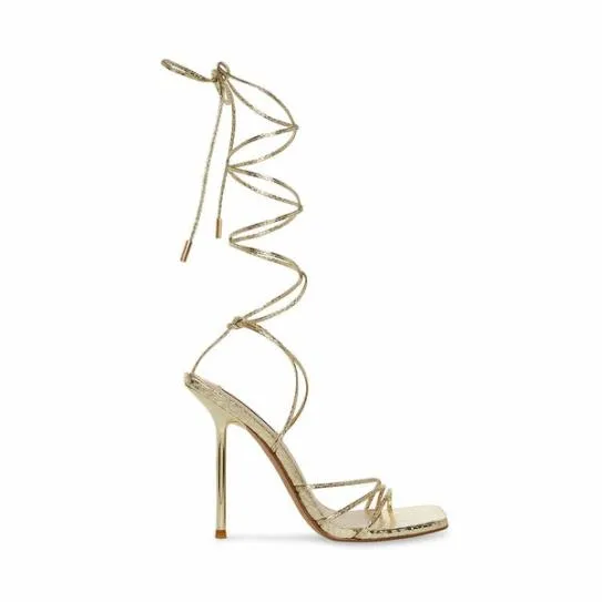 Women EVITA GOLD SNAKE Gold Snake Steve Madden Heels
