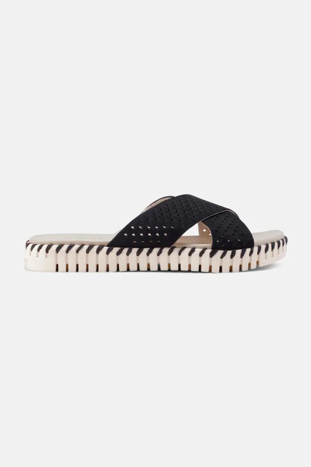 Women Ilse Jacobsen Sandals Sandals 8211 Black