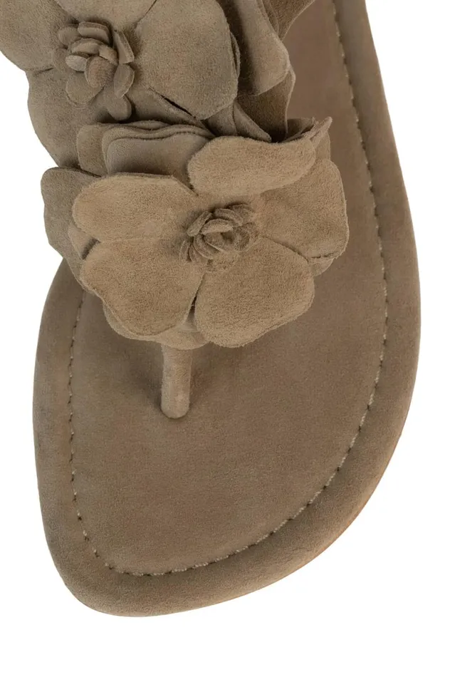 Women Jeffrey Campbell Flat Joyous