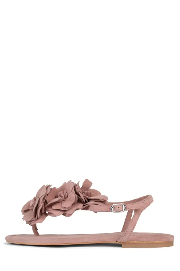 Women Jeffrey Campbell Flat Joyous