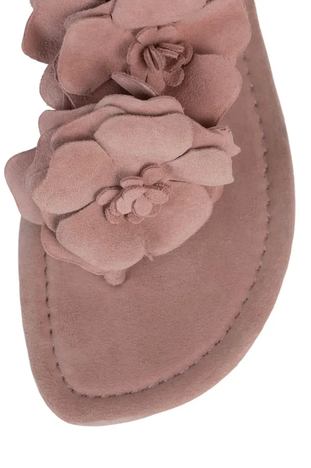 Women Jeffrey Campbell Flat Joyous