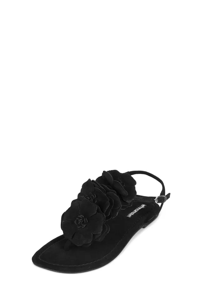 Women Jeffrey Campbell Flat Joyous