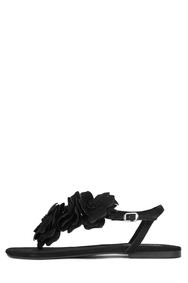 Women Jeffrey Campbell Flat Joyous