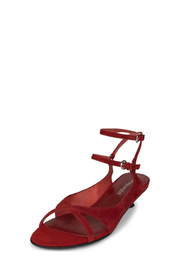 Women Jeffrey Campbell Kitten Mistie