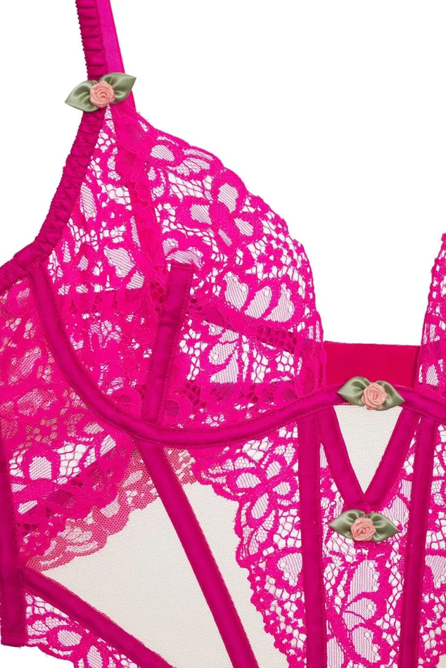 Women Lingerie For Love and Lemons Butterfly Lace Teddy Pink