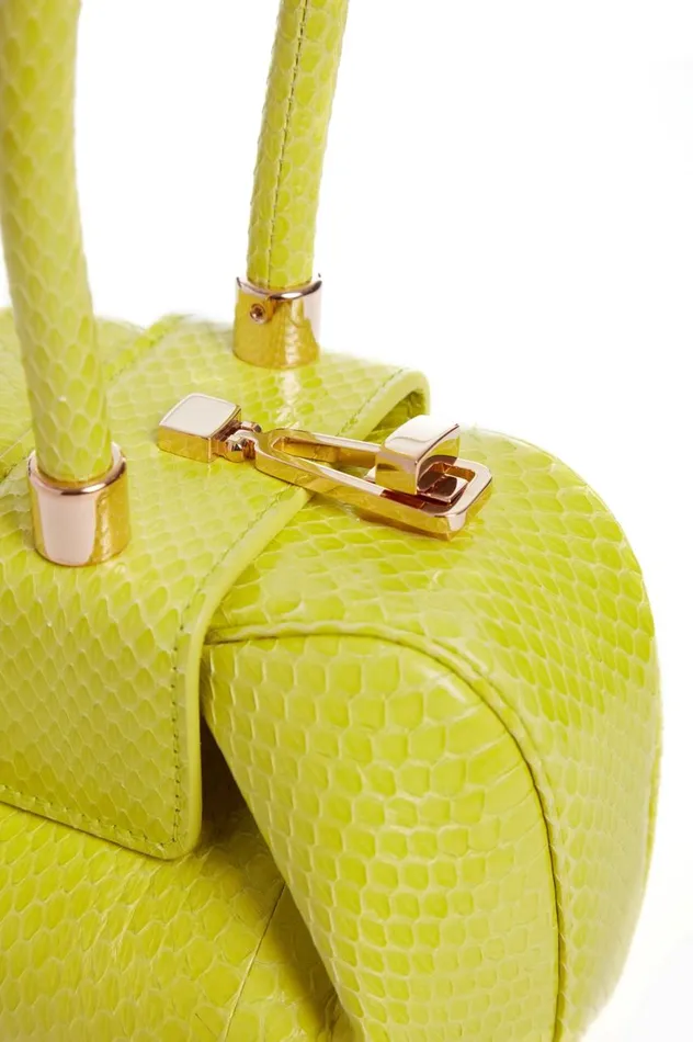 WomenMen Mini Bags Gabriela Hearst Demi Bag In Lime Adamite Snakeskin