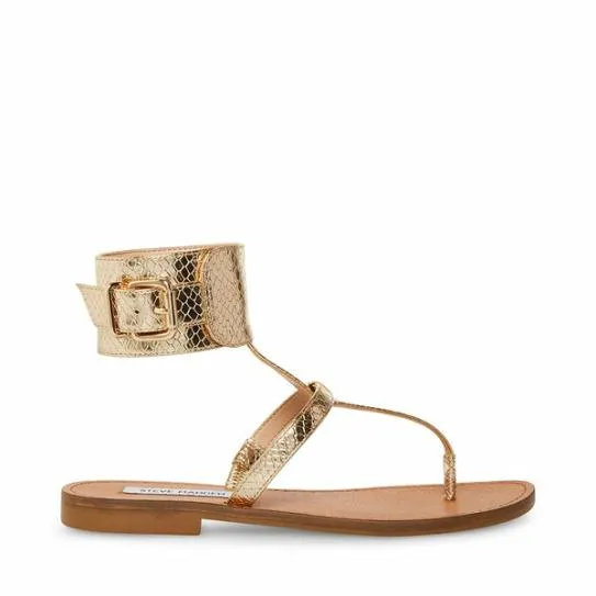 Women RICO GOLD SNAKE Gold Snake Steve Madden Sandals