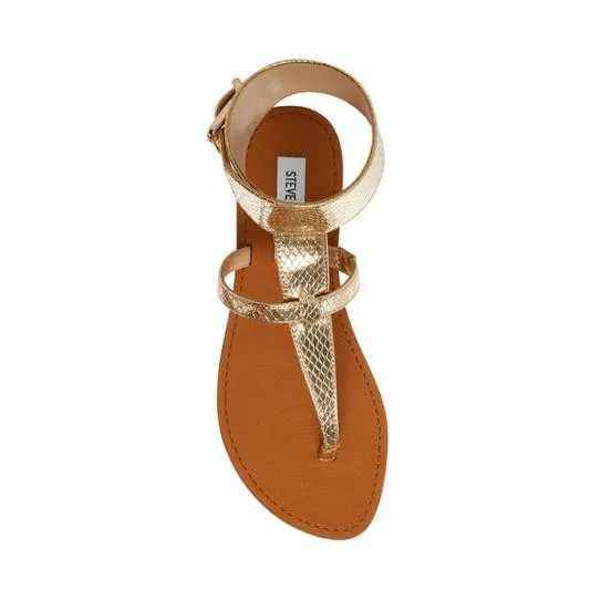 Women RICO GOLD SNAKE Gold Snake Steve Madden Sandals