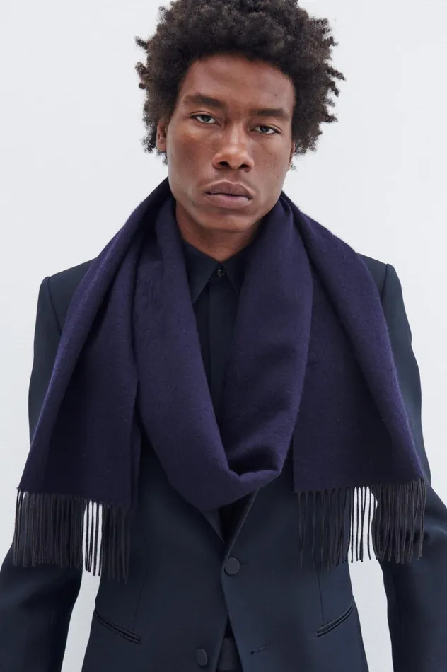 Women Scarves and Gloves Gabriela Hearst Blaine Scarf In Dark Navy Silk Cashmere