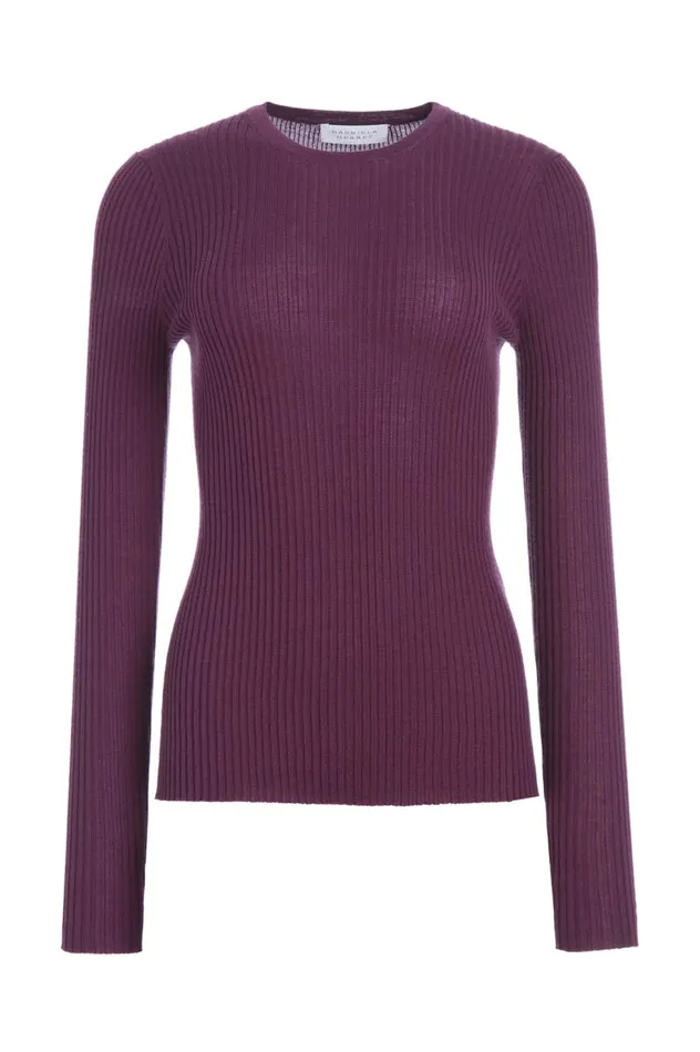 Women Sweaters and Turtlenecks Gabriela Hearst Browning Knit Sweater In Italian Plum Cashmere Silk