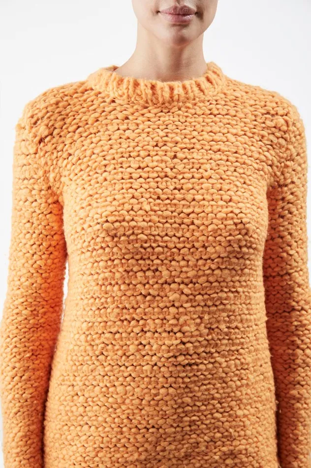 Women Sweaters and Turtlenecks Gabriela Hearst Larenzo Knit Sweater In Fluorescent Orange Welfat Cashmere